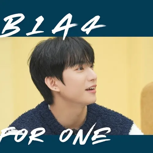 ファンが選んだB1A4最高の瞬間