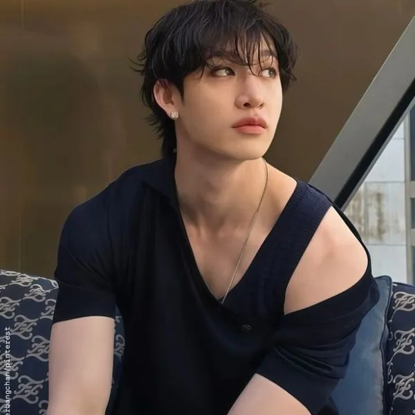 今日最受喜愛的方燦 (Stray Kids)