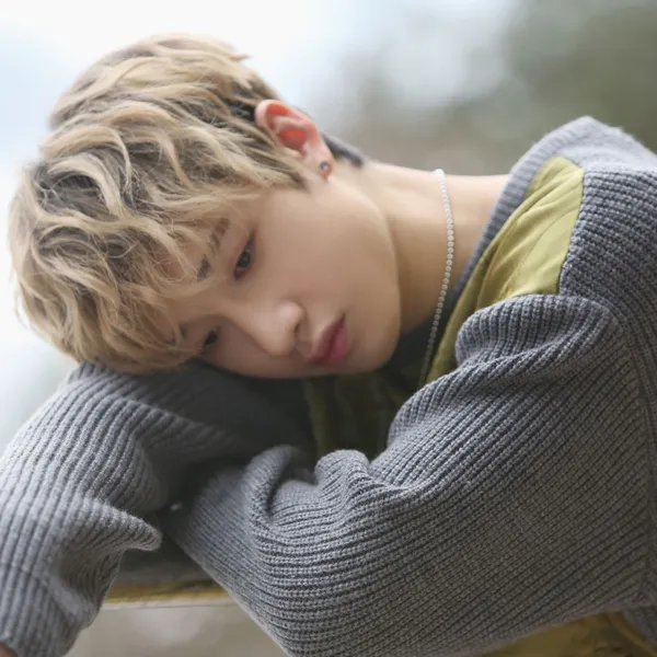 今日最受喜愛的方燦 (Stray Kids)