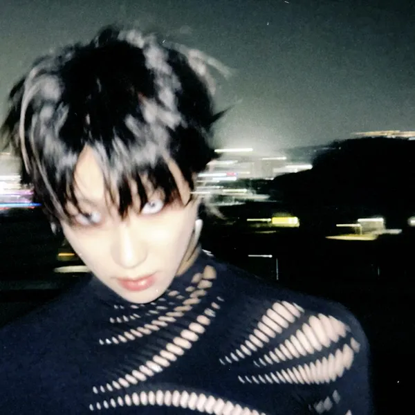 디에잇 (세븐틴) 팬심 가득한 인기 사진
