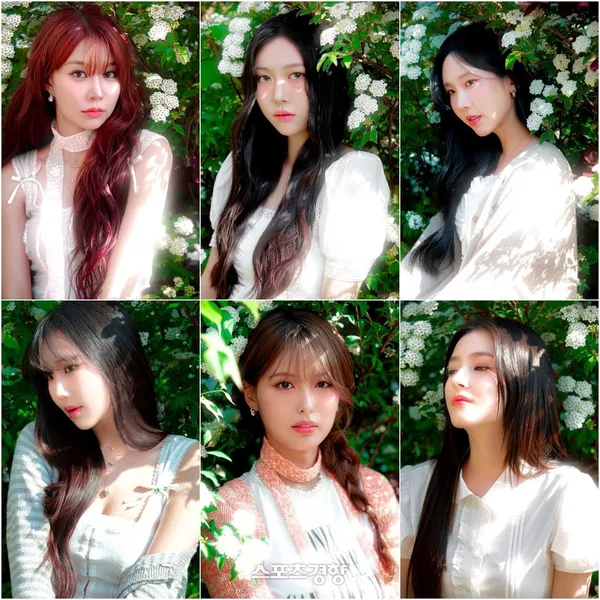 Top Photo Full of MOMOLAND Love