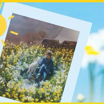 Fans' Pick: Best Moment of Taeyang (BIGBANG)