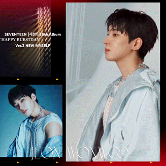 Fans' Pick: Best Moment of Wonwoo (SEVENTEEN)
