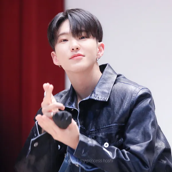 Today's Most Loved Hoshi (SEVENTEEN)