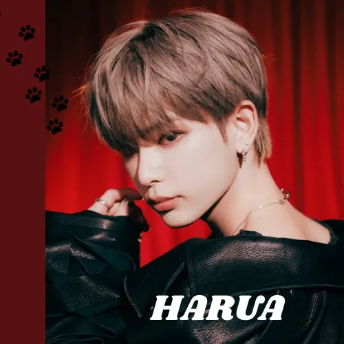 Fans' Pick: Best Moment of Harua (&TEAM)
