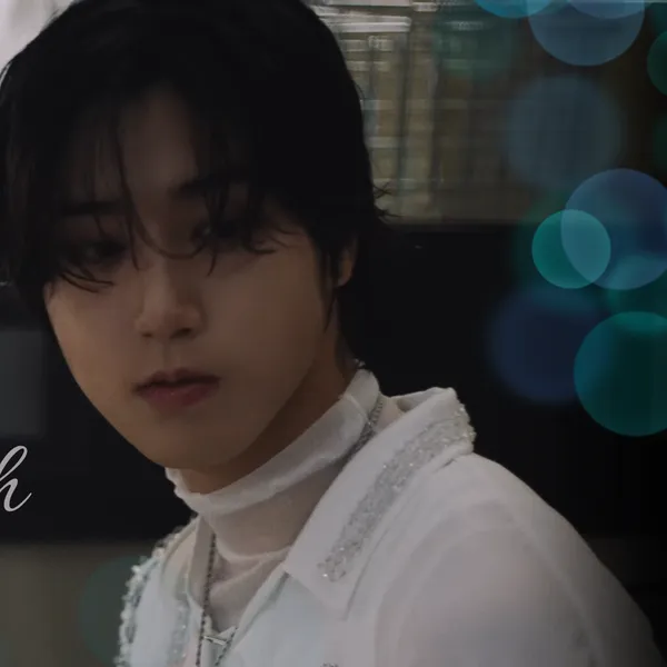 今日最受喜愛的HAN (Stray Kids)