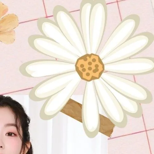 Fans' Pick: Best Moment of Irene (Red Velvet)
