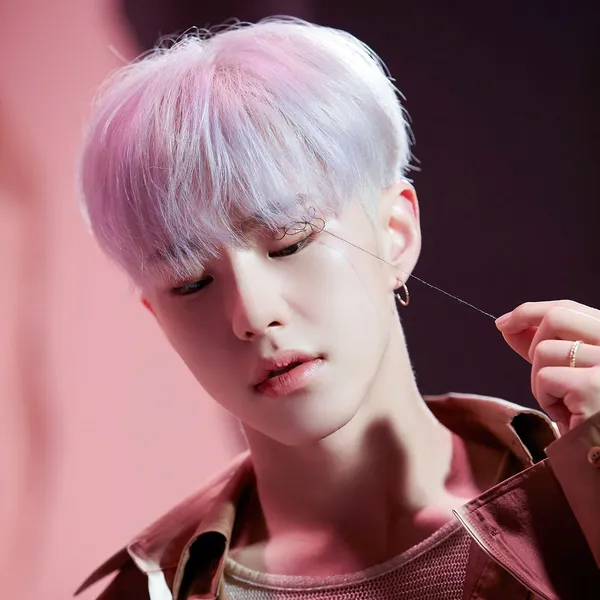 Top Photo Full of Hoshi (SEVENTEEN) Love