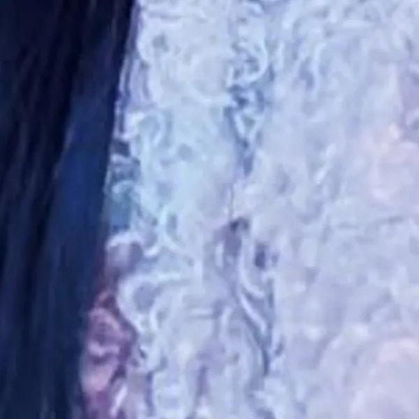 Today's Most Loved Choerry (ARTMS)