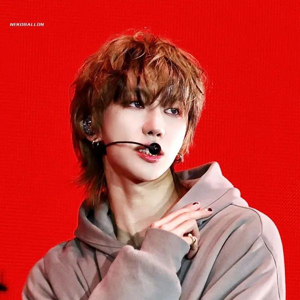 디에잇 (세븐틴) 팬심 가득한 인기 사진