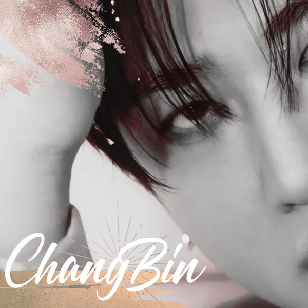 ファンが選んだチャンビン (Stray Kids)最高の瞬間