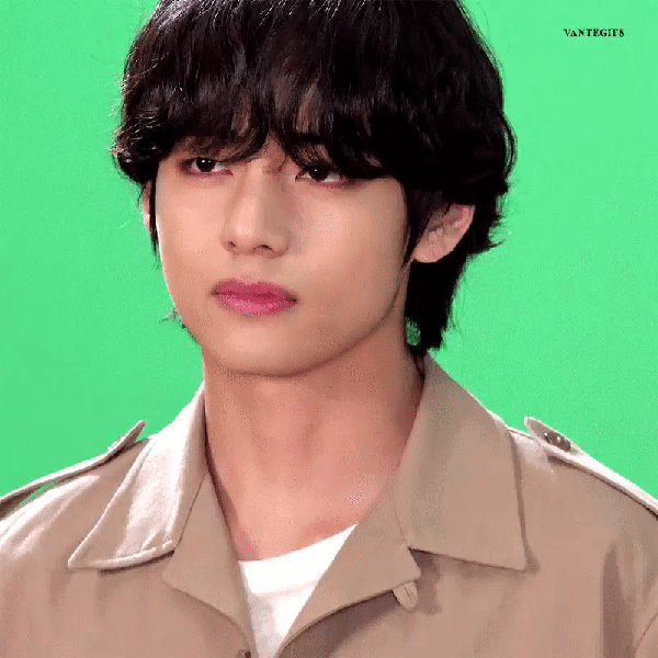 Signature photo of V (BTS) capturing their charm