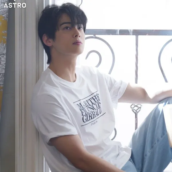 充满粉丝爱意的车银优 (ASTRO)人气照片