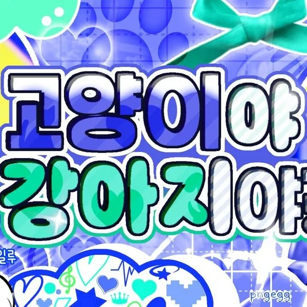 오늘 가장 사랑받은 선우 (ENHYPEN)의 모습