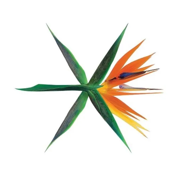 EXOへの愛が詰まった人気写真