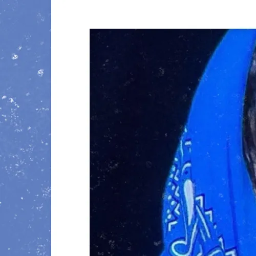 rankingBanner
