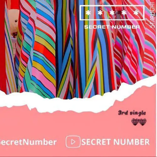 粉丝票选的SECRET NUMBER最佳瞬间