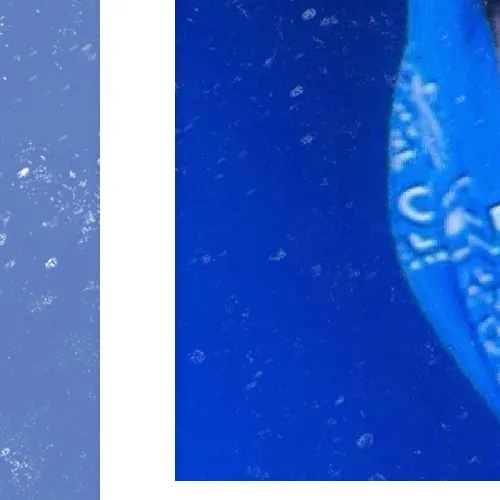 rankingBanner