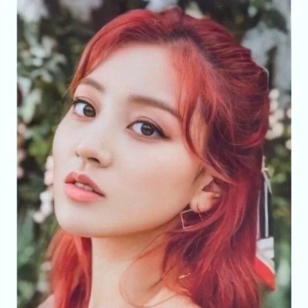 充满粉丝爱意的志效 (TWICE)人气照片