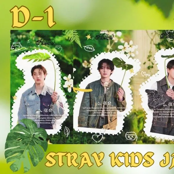 Today's Most Loved Stray Kids