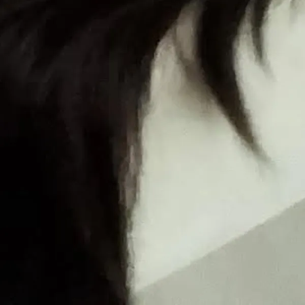Top Photo Full of Go Won (Loossemble) Love