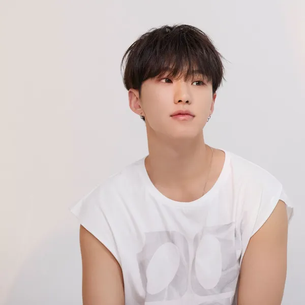 今日最受喜愛的Hoshi (SEVENTEEN)