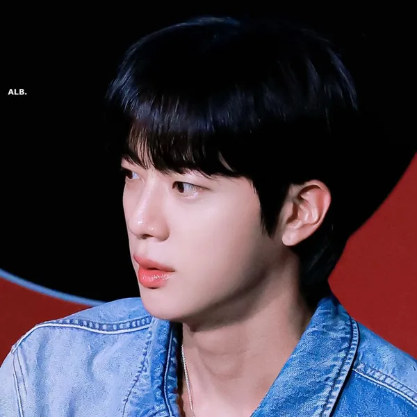 Shining profile picture of Jin (BTS) on today's Choeaedol