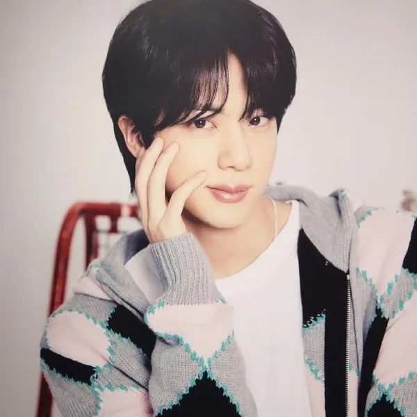 투표로 선정된 진 (방탄소년단)의 인기 프로필 이미지