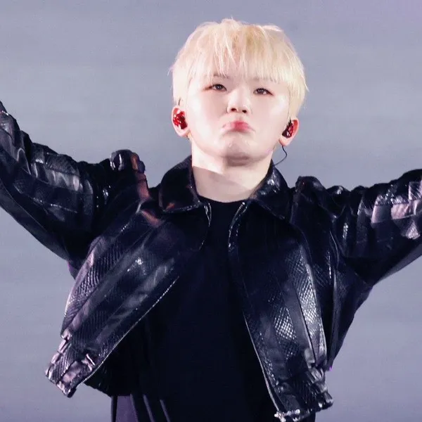 充滿粉絲愛意的Woozi (SEVENTEEN)人氣照片