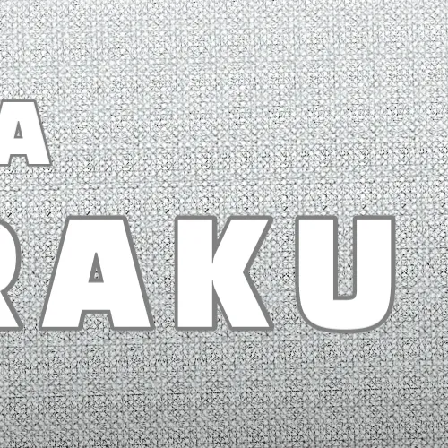 Fans' Pick: Best Moment of Miraku (NouerA)
