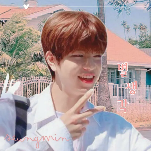 Fans' Pick: Best Moment of Seungmin (Stray Kids)