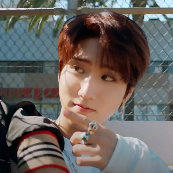 Fans' Pick: Best Moment of HAN (Stray Kids)