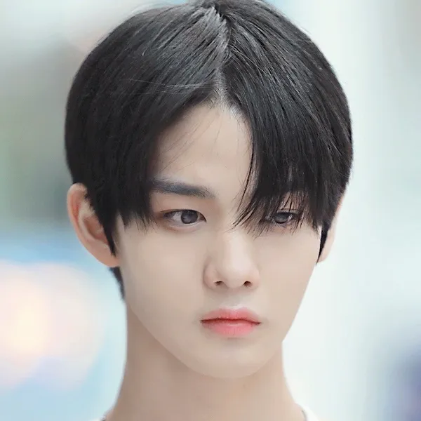 充滿粉絲愛意的裴珍映人氣照片