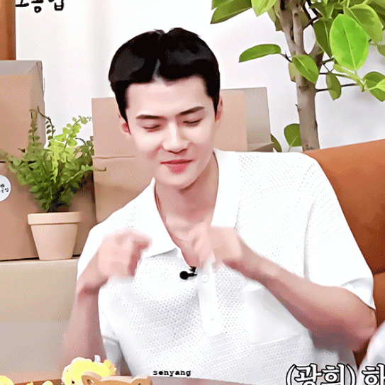 今日最受喜愛的世勳 (EXO)