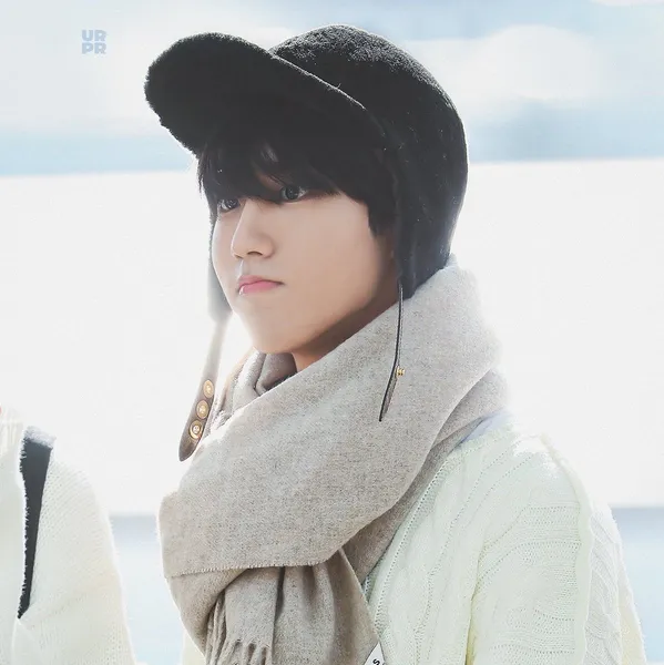 Today's Most Loved HAN (Stray Kids)
