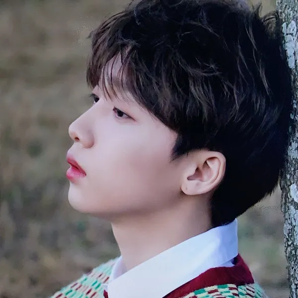 Fans' Pick: Best Moment of Jeong Sewoon