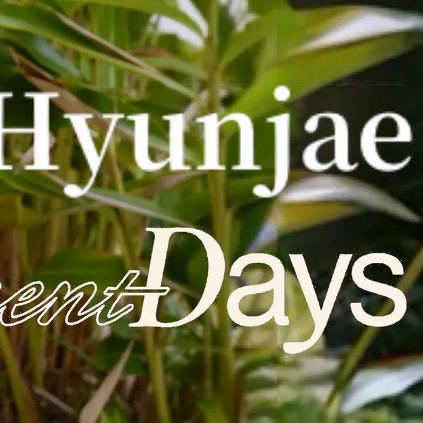 Today's Most Loved Hyunjae (THE BOYZ)