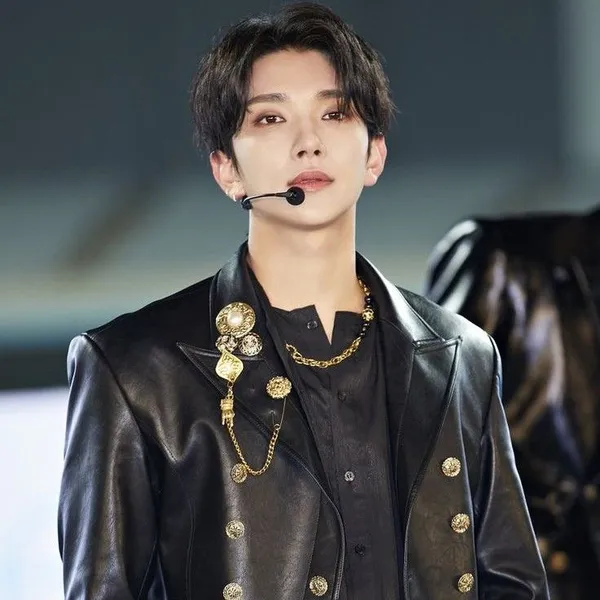 Fans' Pick: Best Moment of Joshua (SEVENTEEN)