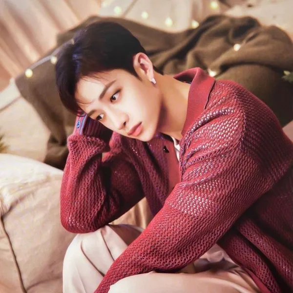 Today's Most Loved Bang Chan (Stray Kids)