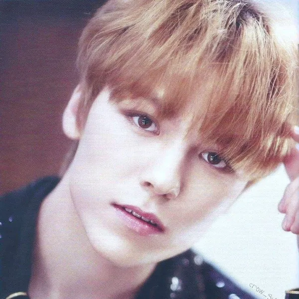 Today's Most Loved Vernon (SEVENTEEN)