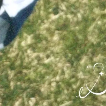 Top Photo Full of Jinsol(2001) Love