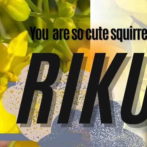 Fans' Pick: Best Moment of Riku (NiziU)