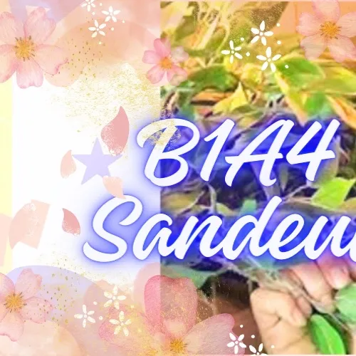 rankingBanner