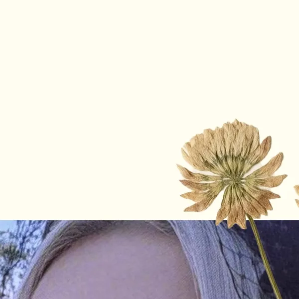 充滿粉絲愛意的多美 (DREAMCATCHER)人氣照片