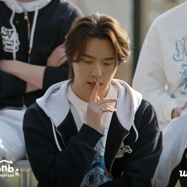 Today's Most Loved Dino (SEVENTEEN)