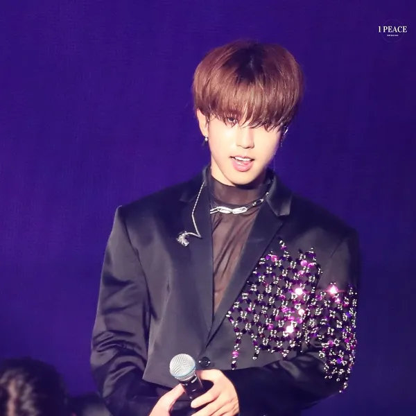 Today's Most Loved HAN (Stray Kids)