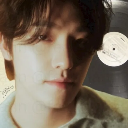 Today's Most Loved Dino (SEVENTEEN)