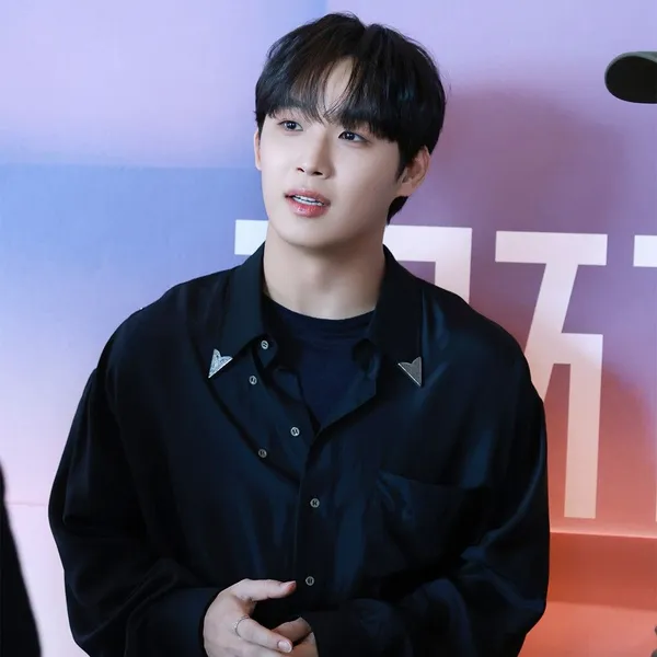 Top Photo Full of Lim Hyunsik (BTOB) Love