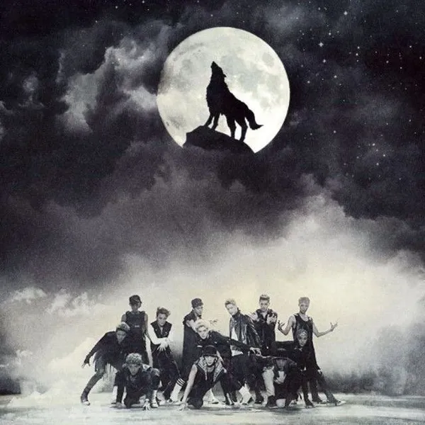 Top Photo Full of EXO Love