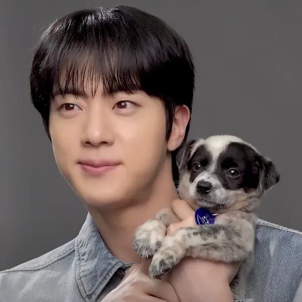 Popular profile image of Jin (BTS) selected by votes